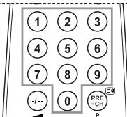 1 2 3 4 5 6 7 8 9 -/- 0 PRE- -CH P