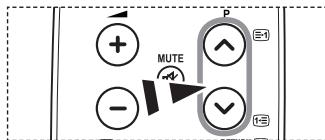 P + MUTE - ✓ 1-3
