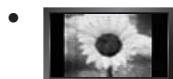 SAMSUNG LE32B350F1W - □ Precauciones al mostrar en la pantalla una imagen fija - 1