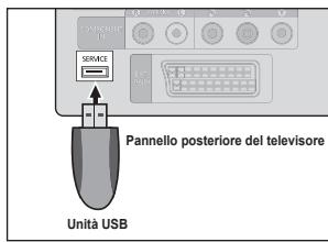SAMSUNG LE32B450C4W - Aggiornamento software - 1