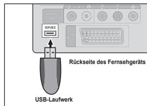 SAMSUNG LE32B450C4W - Software-Update - 1