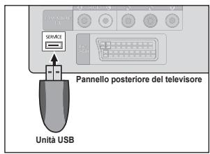 SAMSUNG LE32B460 - Aggiornamento software - 1