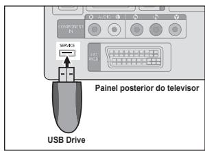 SAMSUNG LE32B530P7W - Por USB - 1