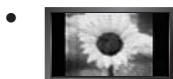 SAMSUNG LE32B551A6W - □ Precauciones al mostrar en la pantalla una imagen fija - 1