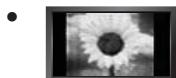 SAMSUNG LE32B650T2PXXC - Précautions à prendre lors de l'affichage d'une image fixe - 1