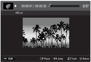 00:00:01 / 00:05:30 3/37 ABC.avi SUM Pause Jump Tools Return