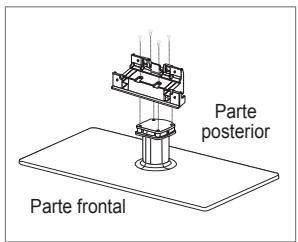 Parte posterior Parte frontal