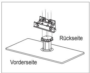 Rückseite Vorderseite