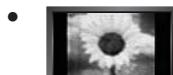 SAMSUNG LE32B652 - Précautions à prendre lors de l'affichage d'une image fixe - 1