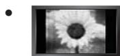 SAMSUNG LE32B652 - Precautions When Displaying a Still Image - 1