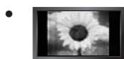 SAMSUNG LE32B652 - Vorsichtsmaßnahmen beim Anzeigen von Standbildern - 1