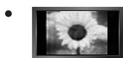 SAMSUNG LE32B653T5P - Vorsichtsmaßnahmen beim Anzeigen von Standbildern - 1