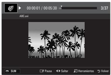 SAMSUNG LE32B653T5P - Formatos de subtitulo admitidos - 1