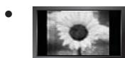 SAMSUNG LE32B653T5P - Precauciones al做不到 en la pantalla unaImagen fija - 1