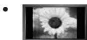 SAMSUNG LE40B551A6P - □ Vorsichtsmaßnahmen beim Anzeigen von Standbildern - 1