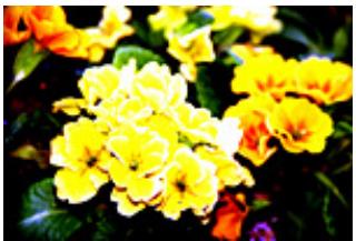 CANON MG5450 - Contraste - 4