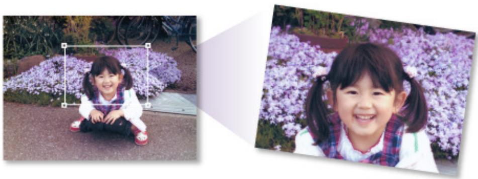 CANON MG5450 - Découpage des images numérisées - 1