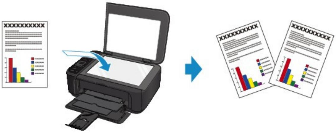 CANON PIXMA MG2255 - Copie de documents - 1