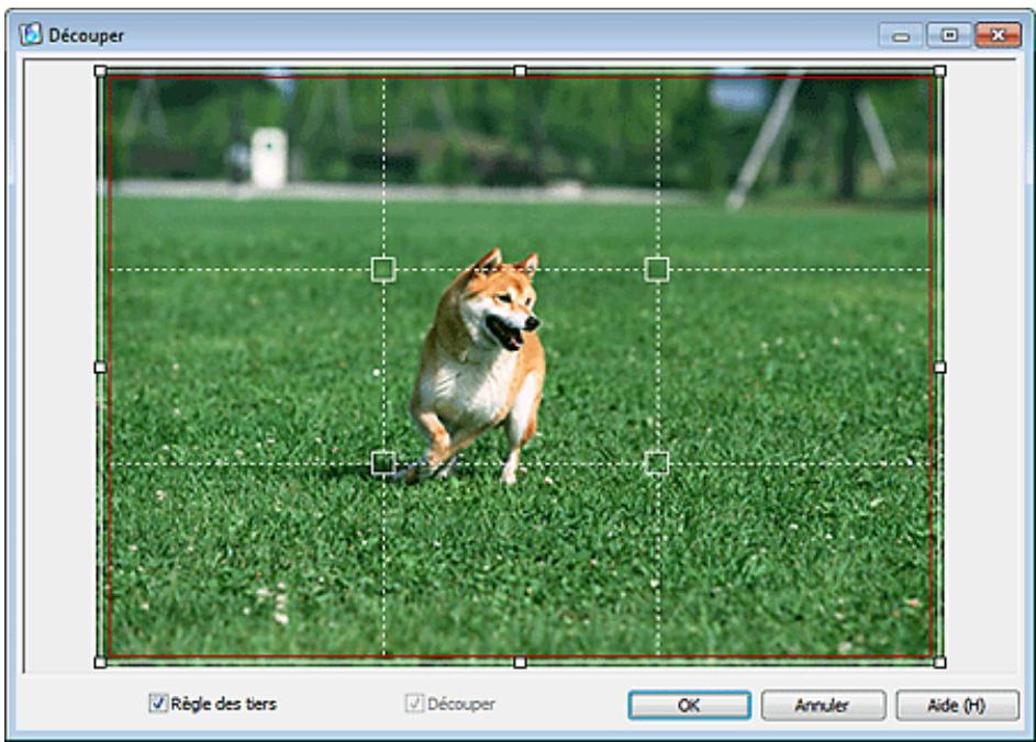 CANON PIXMA MG6250 - Découpage des photos - 1