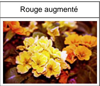 CANON PIXMA MG6250 - Équilibre des couleurs - 3