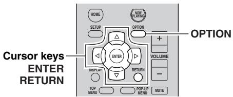YAMAHA R-N500 - (OPTION menu) - 1