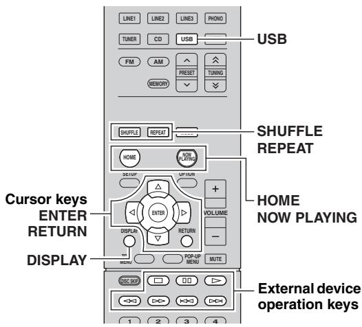 YAMAHA R-N500 - Note - 1