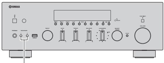YAMAHA R-N500 - Nota - 2