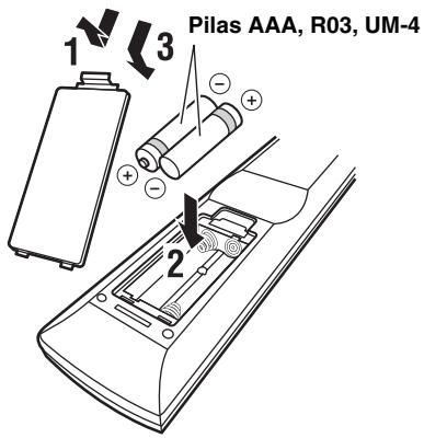 YAMAHA R-N500 - Instalacion de las pilas - 1