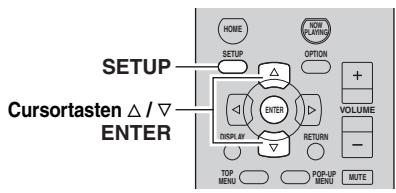 YAMAHA R-N500 - Hinweise - 2