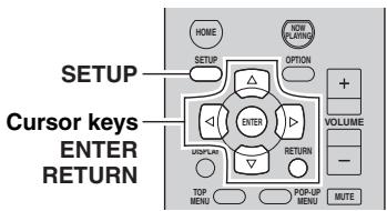 YAMAHA R-N500 - Configuring various functions (SETUP menu) - 1