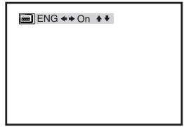 SONY SLV-D950GI - Displaying the subtitle - 3