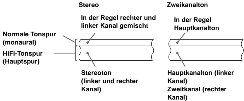 SONY SLV-SE850D - Wie wird der Ton auf dem Videoband aufgezeichnet - 1
