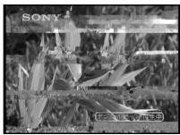 SONY DCR-IP45E - Cleaning the video head - 1