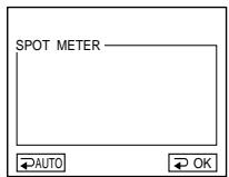 SONY DCR-IP55E - 3-5 - 3