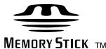 SONY DCR-IP55E - Digital Handycam IP Network Handycam IP - 3