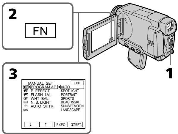 SONY DCR-IP55E - Ландшафтный режим - 7