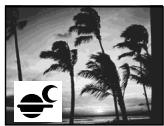 SONY DCR-IP55E - Landscape - 4