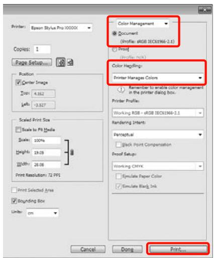 EPSON PRO 9908 - Configuration des paramètres dans Windows - 2