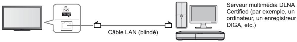 PANASONIC TX-L42DT50E - Connexions réseau - 1