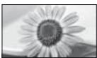 PANASONIC TX-L42DT50E - Automatique - 1
