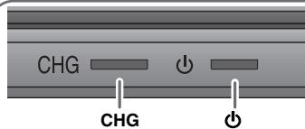 PANASONIC DVD-LS84 - Genopladning af batteri - 2