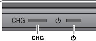 PANASONIC DVD-LS84 - Ladda upp batteriet - 2