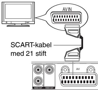 PANASONIC DVD-S500EG - AV (Scart) - 1