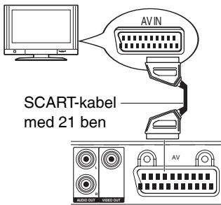 PANASONIC DVD-S500EG - AV (Scart) - 1