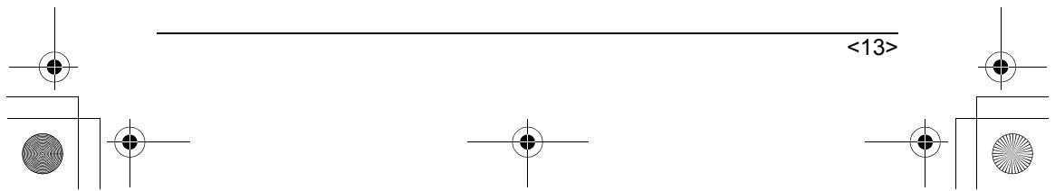 <13>