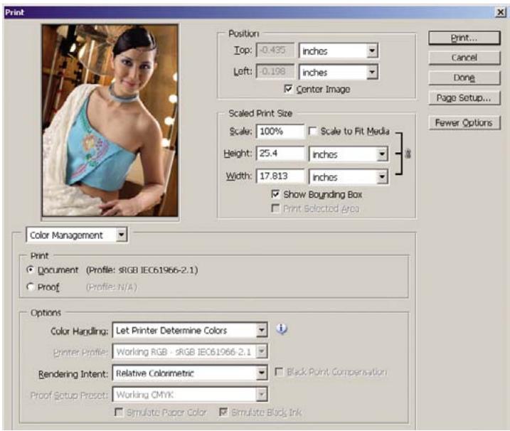 HP DESIGNJET T1100 - Utilisation d'Adobe Photoshop - 4