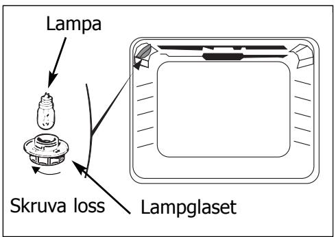 BRANDT FC422ZN1 - Hur byter man lampa? - 2