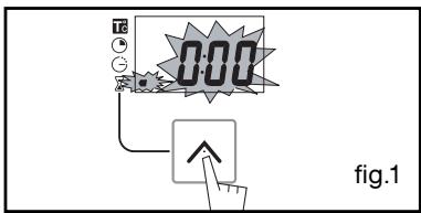 0:00 fig.1