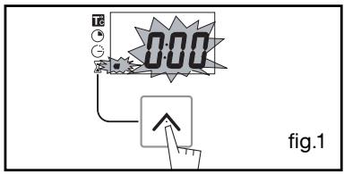 0:00 fig.1