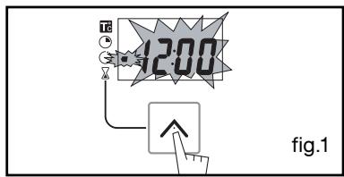 BRANDT FP562X - After these three steps, the oven heats up: - 7